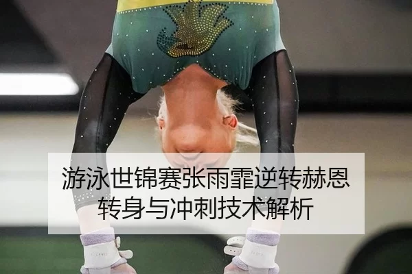 you-yong-shi-jin-sai-zhang-yu-fei-ni-zhuan-he-en-zhuan-shen-yu-chong-ci-ji-shu-jie-xi-2-101.jpg